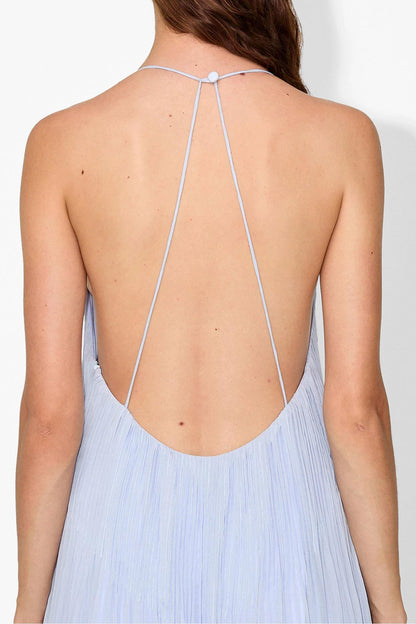 Haydin Maxi Dress - Hydrangea